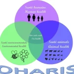 Appel à candidatures pour la sélection de la deuxième promotion du master one health et analyse de risques sanitaires (OHARIS)